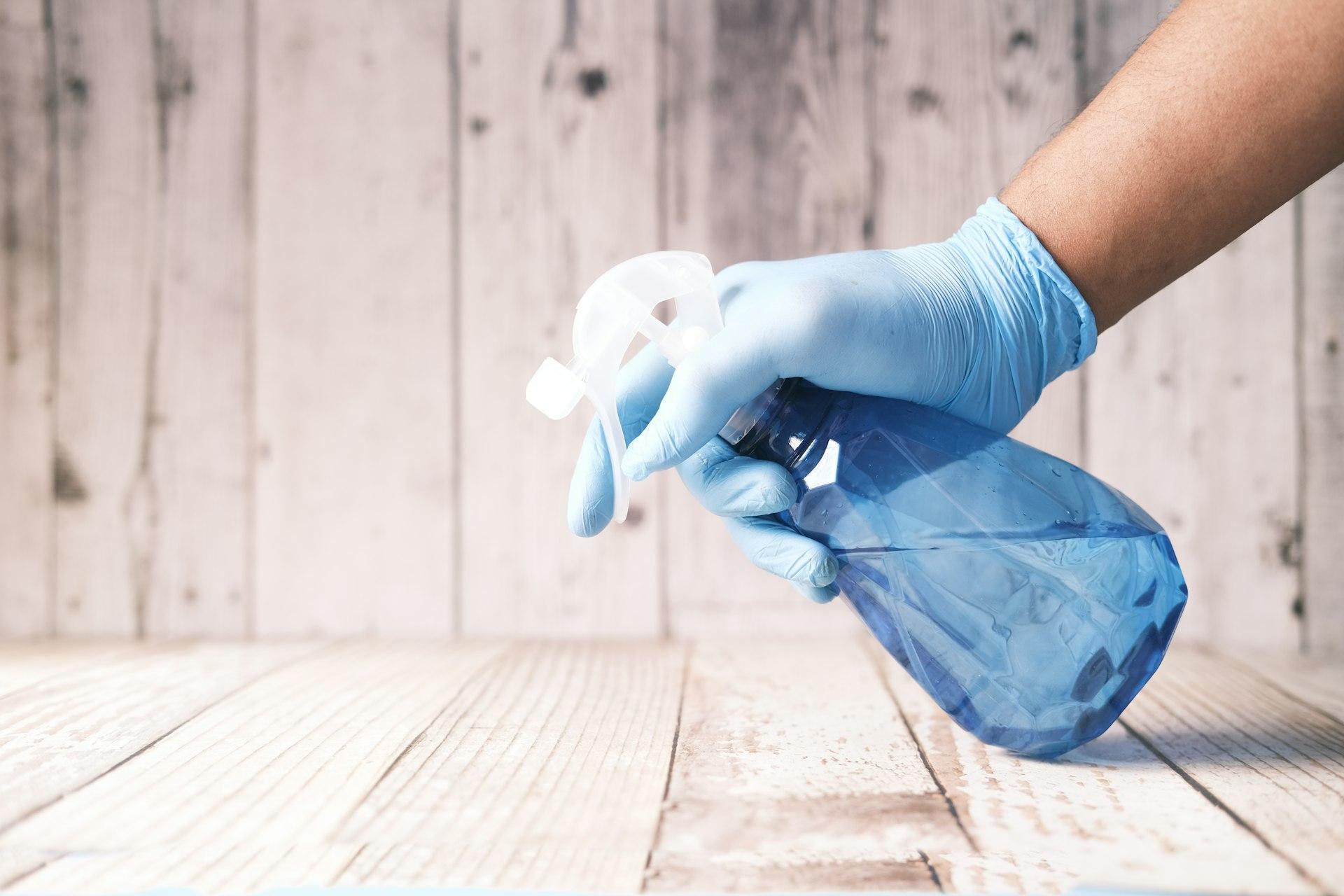 Mold Removal Cleaning Service Dubai