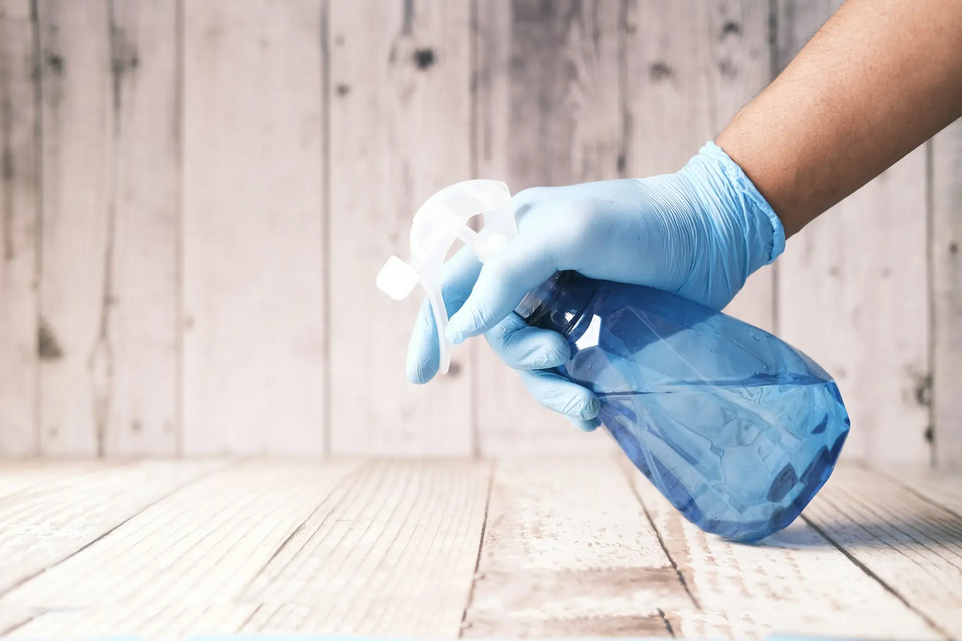 Mold Removal Cleaning Service Dubai