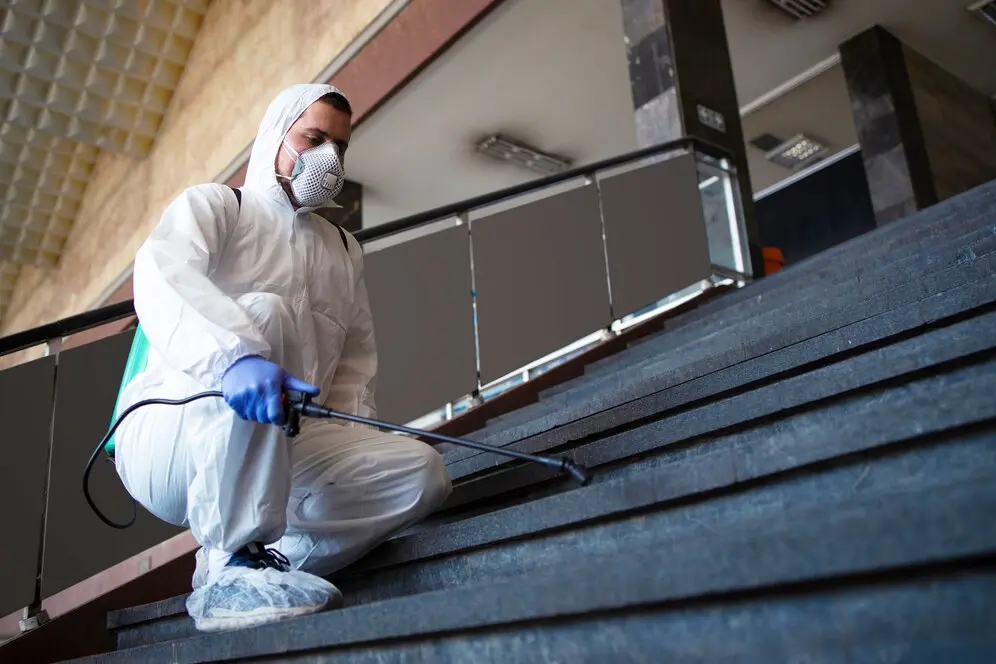 Mold Removal Cleaning Service in Dubai