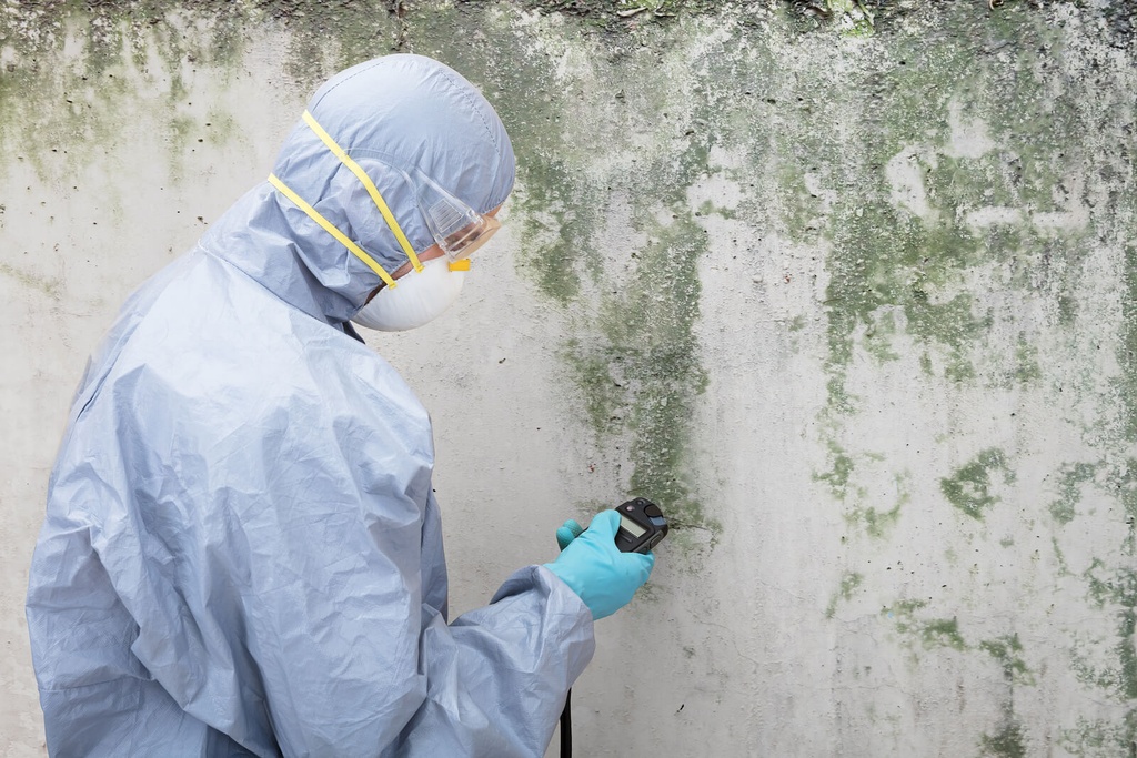 Mold Removal Cleaning Service Dubai