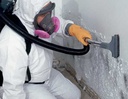Mold Removal Cleaning Service Dubai