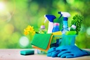 Organic Deep Cleaning Service Dubai