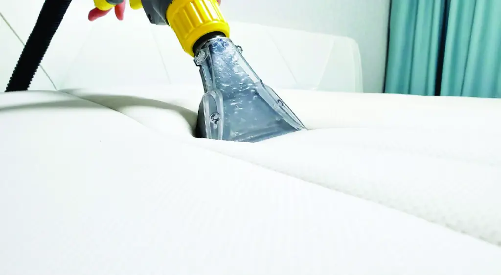 HYGIENE (1).webp