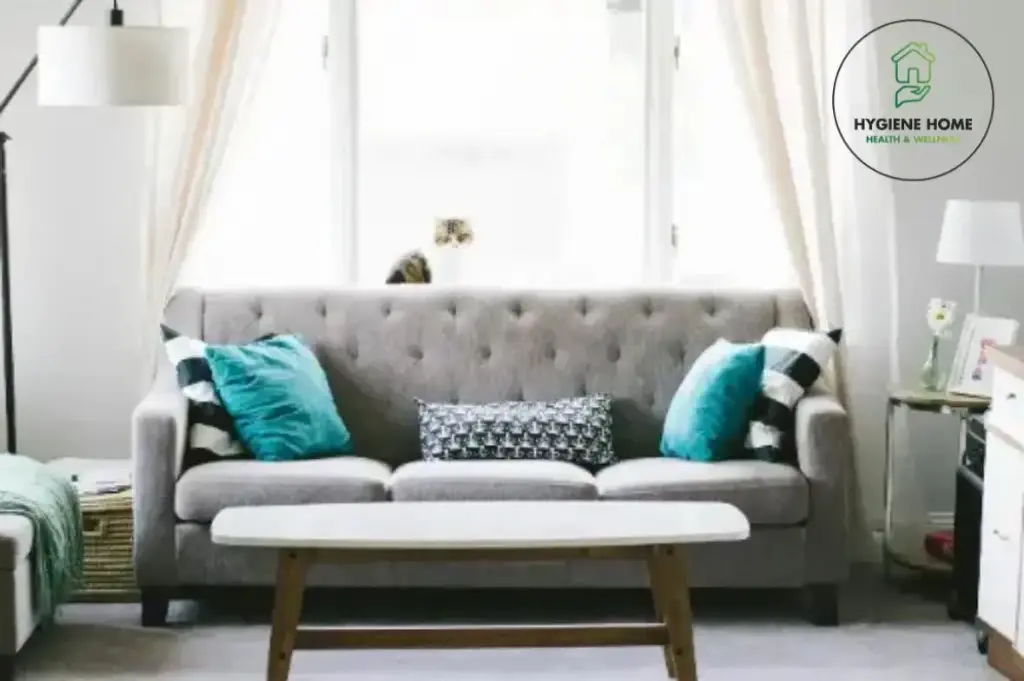 Sofa Couch Deep Cleaning Service Dubai