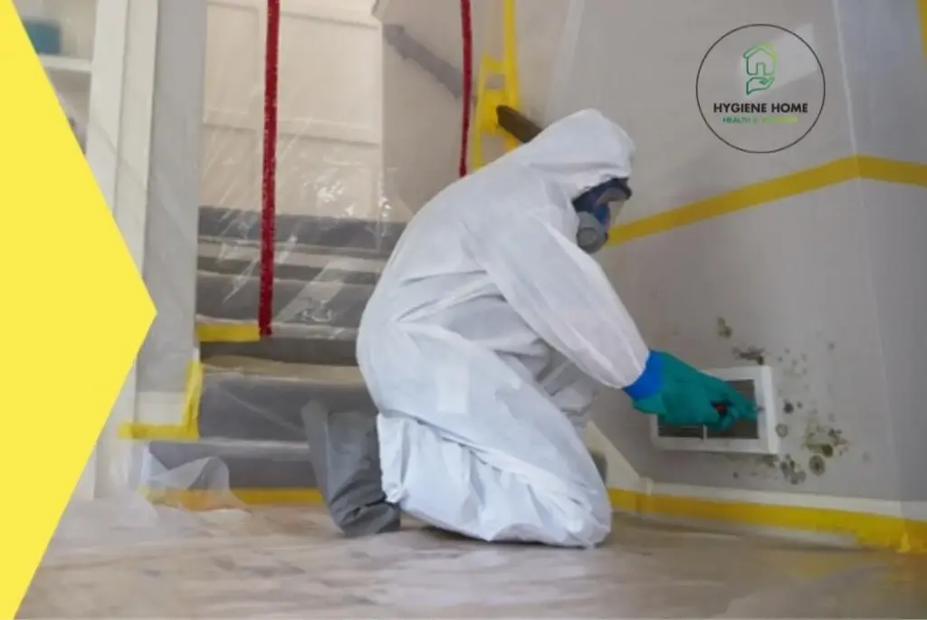 Mold Removal & Remediation Cleaning Service Dubai