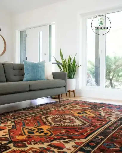 Carpet Deep Cleaning Service Dubai